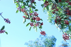 ハイキー調に(^o^)i