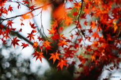 切磋TAKUMAR＼^0^／