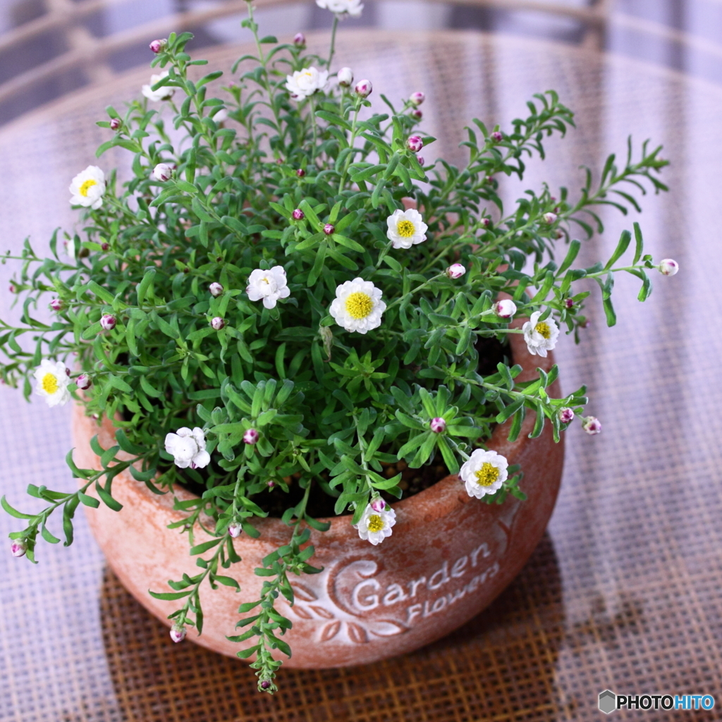 優しい日差し(^o^)