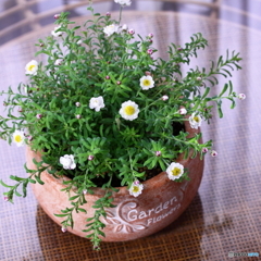 優しい日差し(^o^)