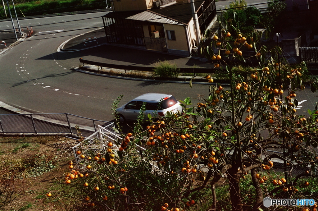 ②色補正有り/柿の木坂(=^・^=)film