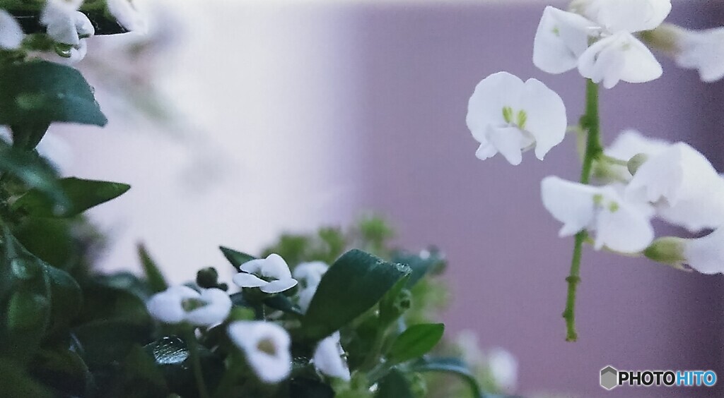 コラボレーション2