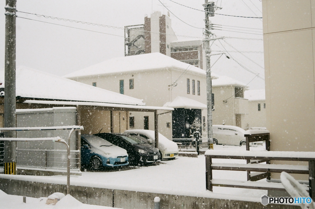 雪の日のアルファ(^o^;q