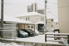 雪の日のアルファ(^o^;q