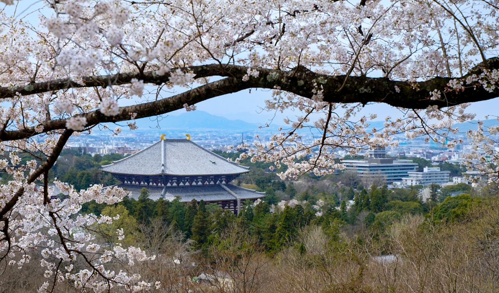 春の東大寺