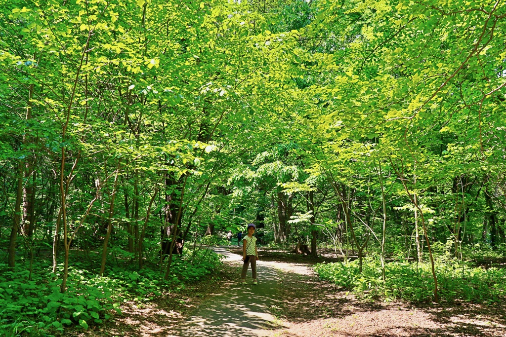 娘と円山登山