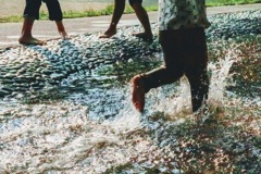 真夏の水遊び