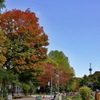 今(10月13日)の大通公園