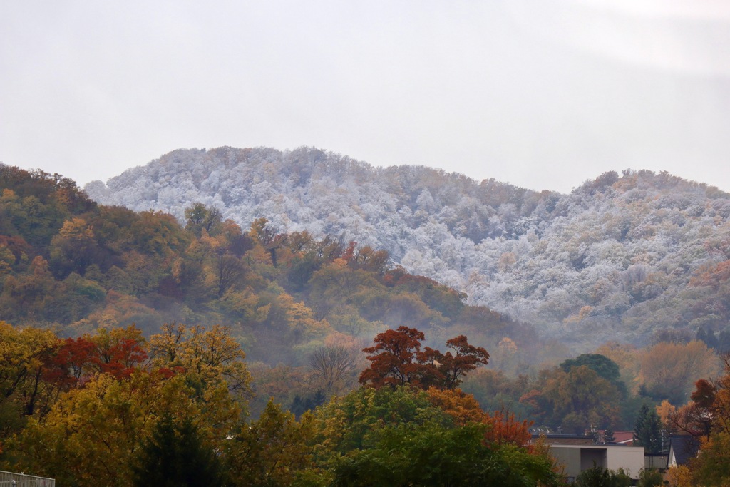 紅葉と初雪