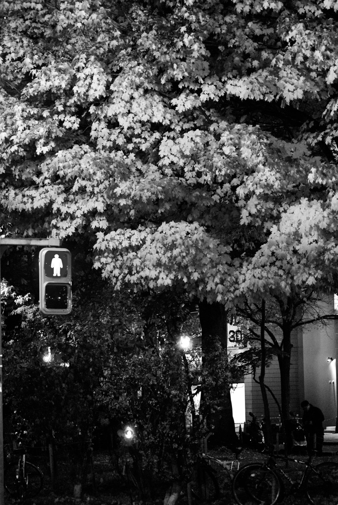 赤外線みたい