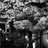 赤外線みたい