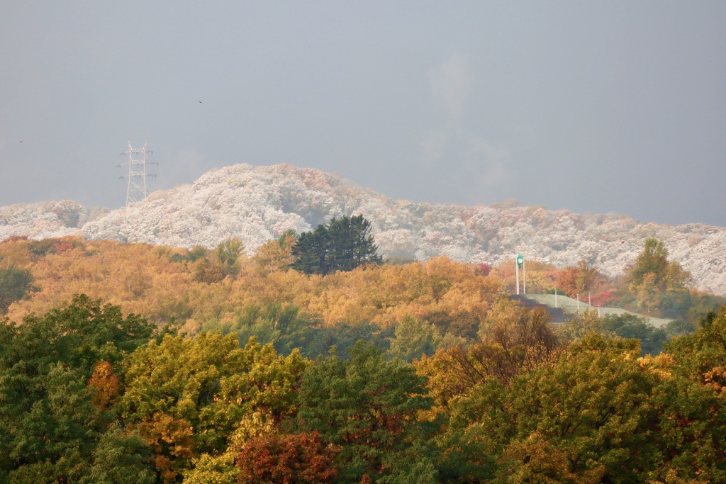 紅葉と初雪その2