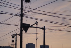 帰路