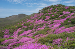 天空の花園