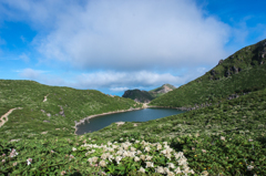白と緑と青の景色