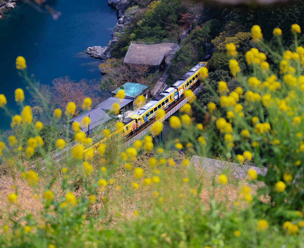 春の渓谷を駆けるアンパンマン列車