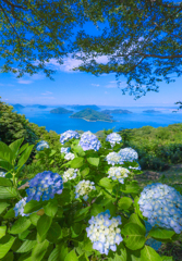 夏の始まり、青の世界
