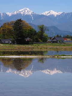 水鏡　安曇野常念岳