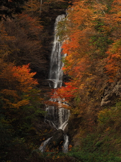 木曽　唐沢の滝