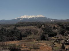 早春の御岳山