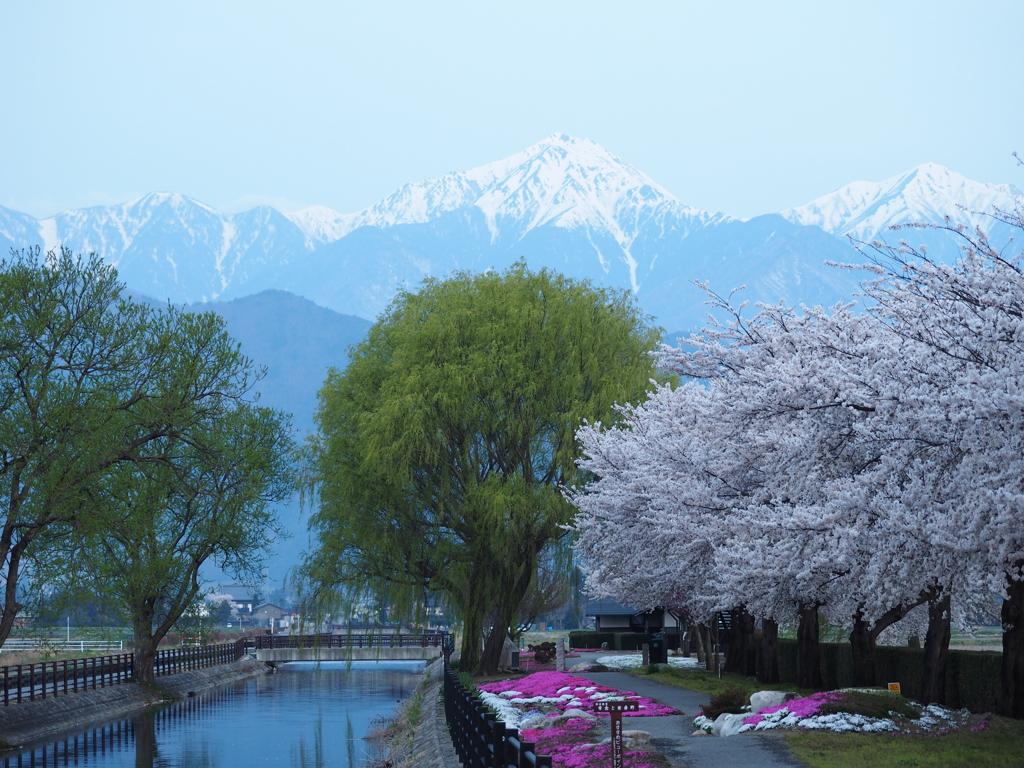 拾ケ堰と常念岳