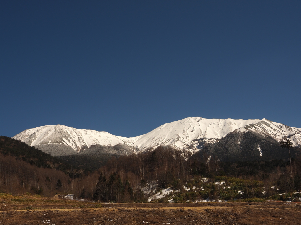 早春の裏御岳山