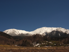 早春の裏御岳山