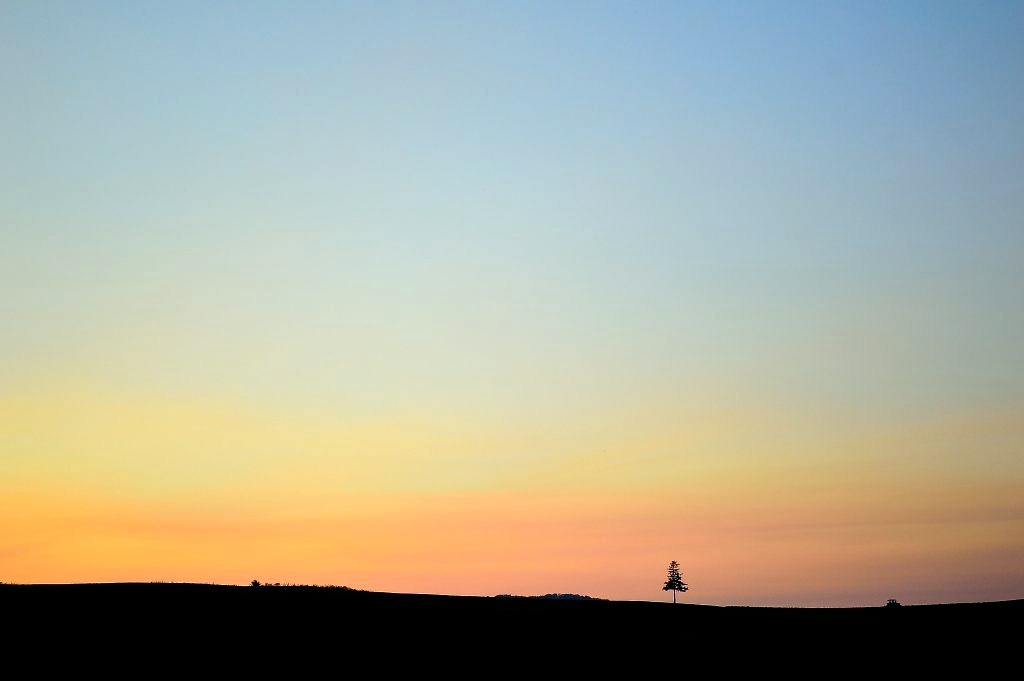 DSC_0508_01_01