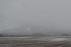 CSC_6888_01_01_01