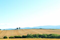 DSC_0256_01_01