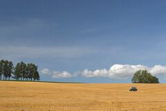 DSC_0964_01_01_01