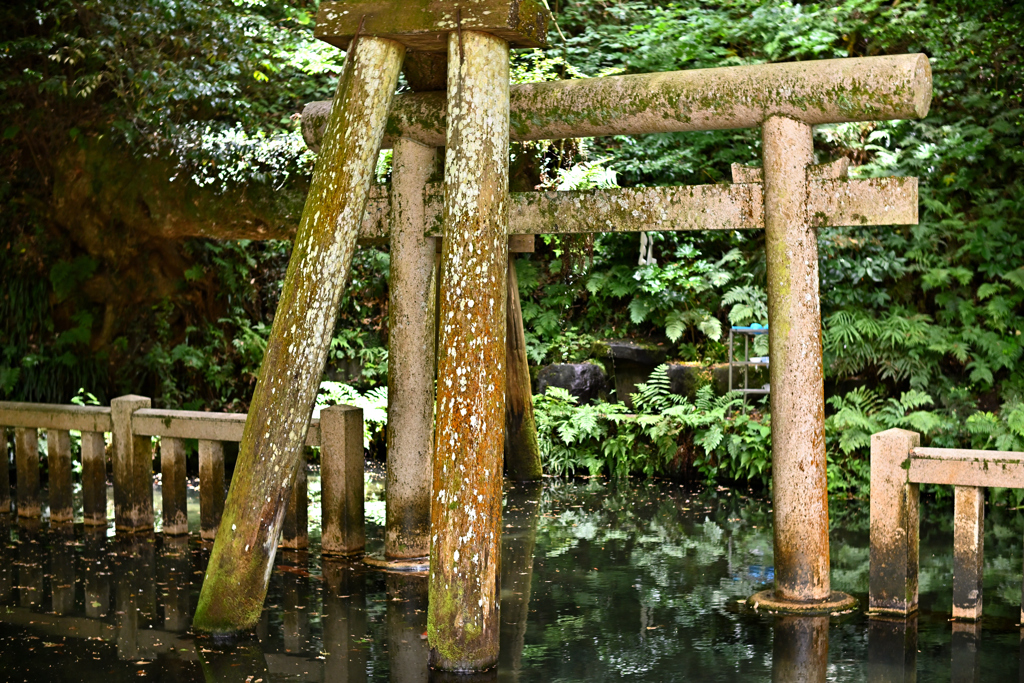 鹿島神宮の神秘感MAX鳥居