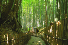 武家屋敷への道