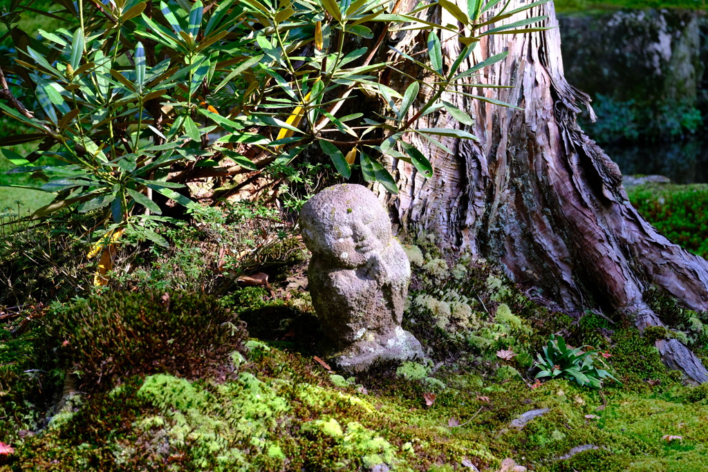三千院のわらべ仏