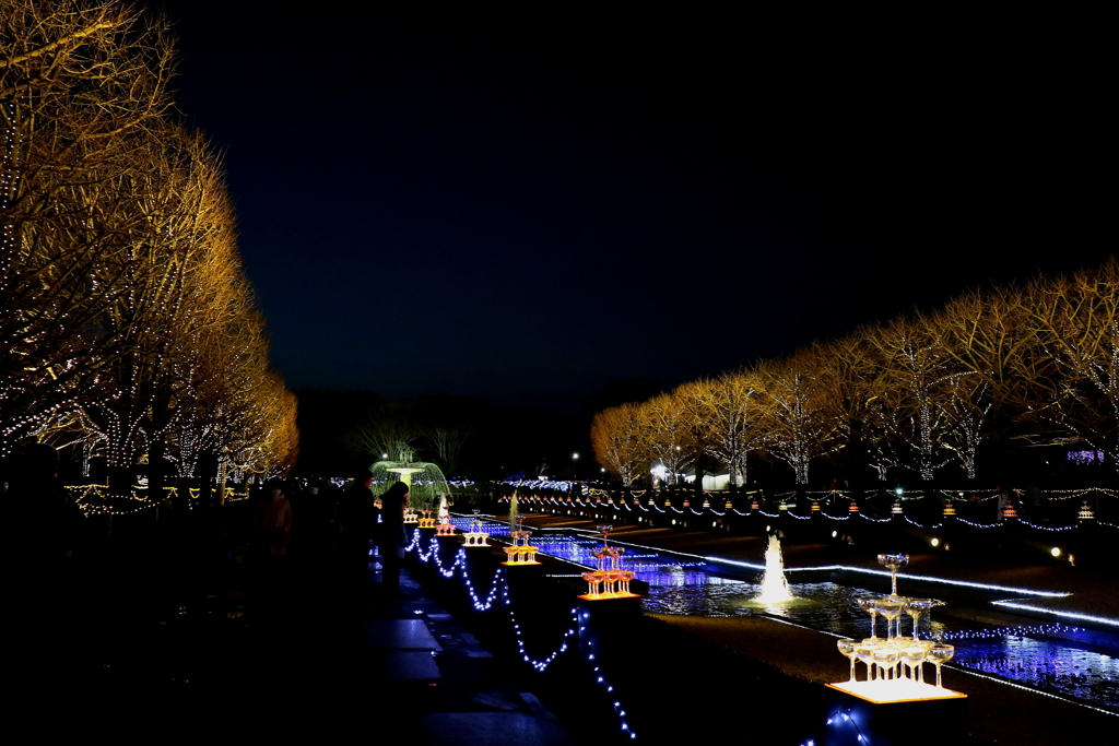 昭和記念公園、イルミネーション。