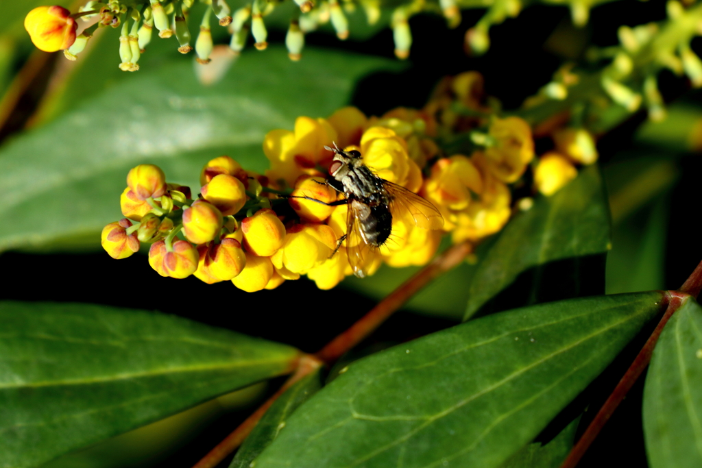 私も撮ってくださいな