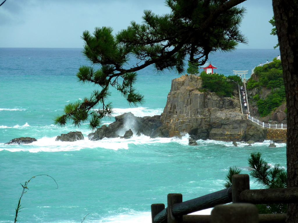 桂浜