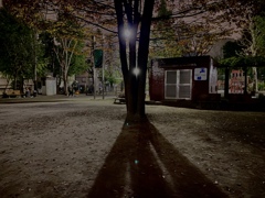 早稲田