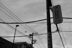 飛行機