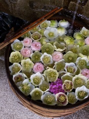 櫻山八幡宮　手水舎
