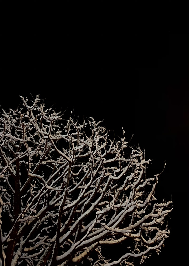 雪