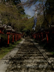 鞍馬寺の先登り