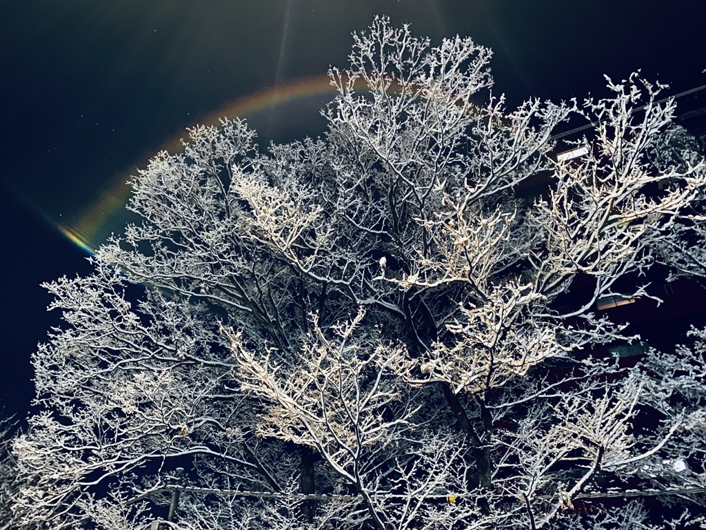 雪