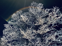 雪