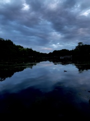 井の頭公園