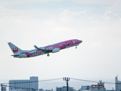 8/2 NU566 宮古ー沖縄/那覇 さくらジンベイジェット