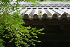秋月、黒門前