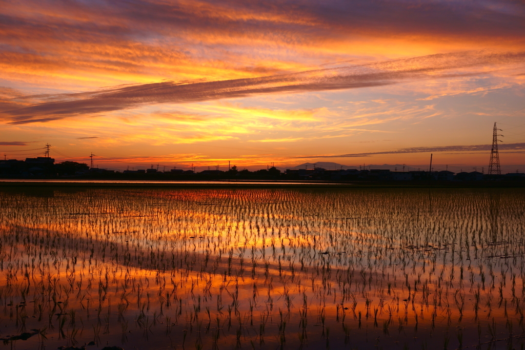 初夏の夕暮れ
