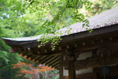 散策途中にて