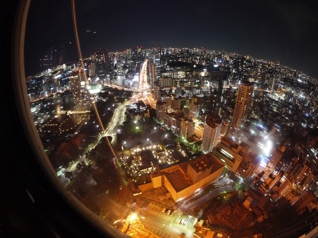 東京タワーから見た東京タワー